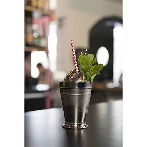 Twin 6-Inch Stainless Steel Cocktail Julep Strainer Bar Tool by Fortessa