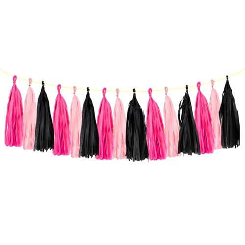 DIY Tissue Paper Tassel Garland Kit, 15-Piece Party Banner Decor