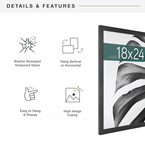 MCS Studio Gallery 18x24 Picture Frame Black Woodgrain Poster Frame