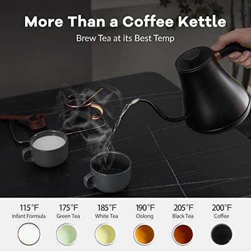 Electric Gooseneck Pour-Over Kettle, 0.8L Stainless Steel with Temp Control