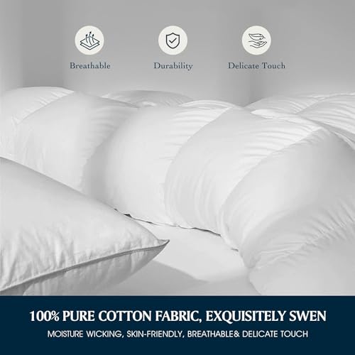 Serta Goose Feather & Down Fiber Comforter - All Season Cotton Duvet Insert