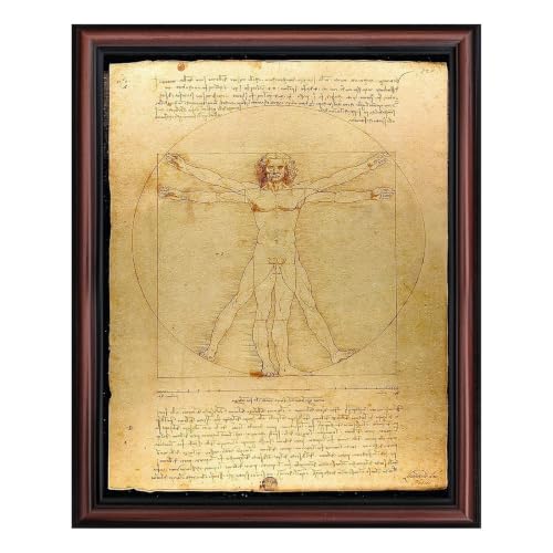 Vitruvian Man Framed Wall Art, 11x14 Renaissance Anatomy Print