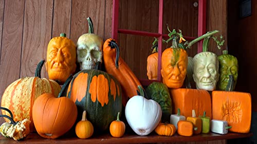 Skull-Shaped Pumpkin Growing Mold for Halloween Gardening