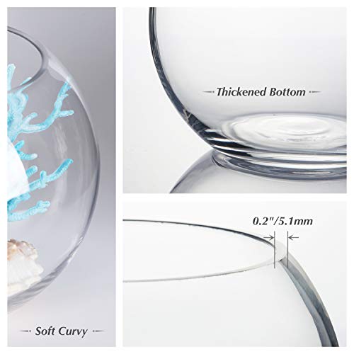 Clear Glass Bowl Vase (8" x 6") - Round Terrarium & Fish Bowl Centerpiece