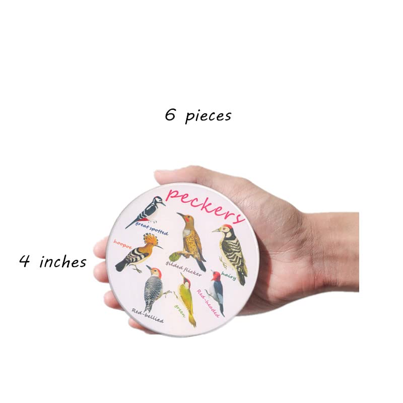 Bird Ceramic Coasters For Drinks with Holder And Cork Base, Set Of 6 All Kinds Of Birds Absorbent Coasters For Coffee Table