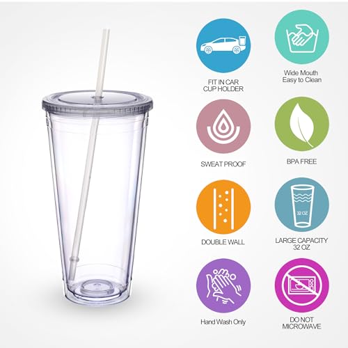 32 oz Double Wall Insulated Tumbler with Lid and Straw, 2 Pack Clear Cup