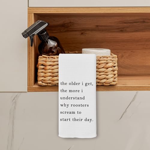 Funny Sarcastic Kitchen Towels - Variation 7, 16x24 Inch Dish Cloths Decor