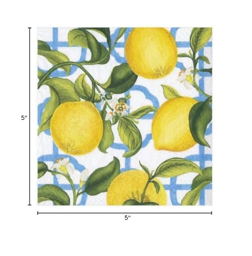 Caspari Cocktail Napkins Seville Paper in Ivory-20 Per Package, (11910C)