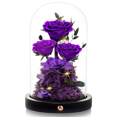 Forever Preserved Purple Rose in Glass Dome - Long-Lasting Floral Gift