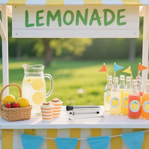Meiye 4-Piece Stainless Steel Lemonade Stand Tool Set - Straw Puncher, Muddler & Spoon