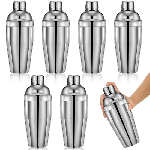 Silver 6-Piece Stainless Steel Cocktail Shaker Set 18.6 oz for Home & Bar