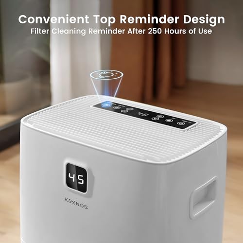 80-Pint Energy Star Dehumidifier for Basement and Home with Drain Hose