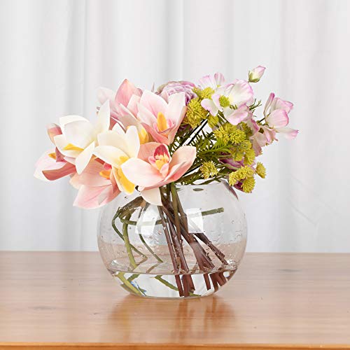 Clear Glass Bowl Vase (8" x 6") - Round Terrarium & Fish Bowl Centerpiece