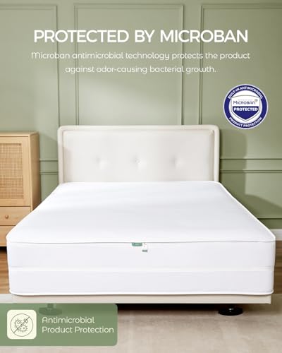 Hypoallergenic Cotton Mattress Protector - Queen Size Encasement