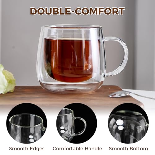 Set of 2 Double Wall Glass Coffee Mugs 10 oz with Handle - RDLBBS