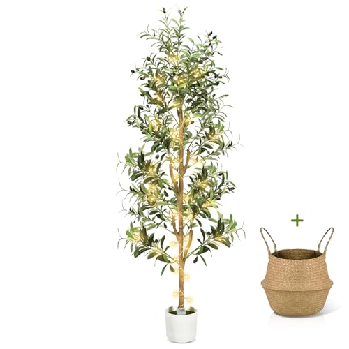 6Ft Tall Artificial Olive Tree with LED Light & Planter