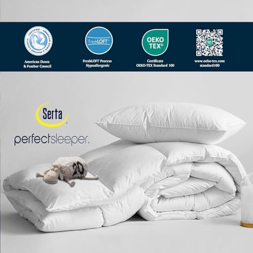 Serta Goose Feather & Down Fiber Comforter - All Season Cotton Duvet Insert