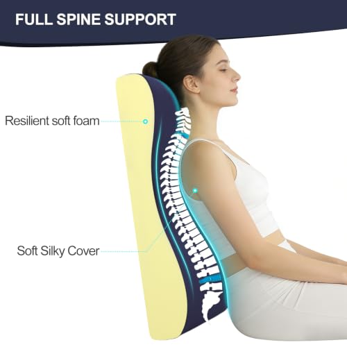 2-in-1 Neck and Lumbar Support Pillow for Recliners and Gliders