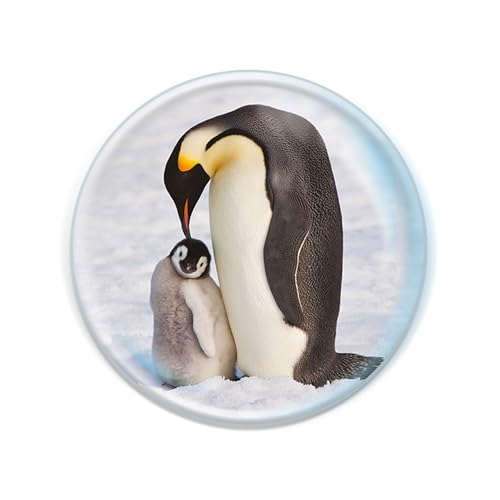 Deluxebase Magnidome Penguin Fridge Magnet - Cute Crystal Glass Animal Decor