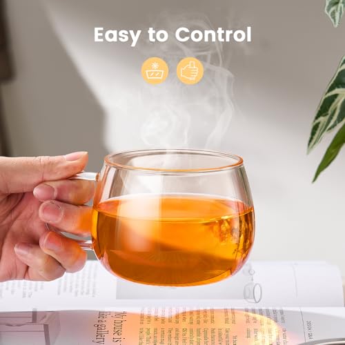 PARACITY 13 oz Glass Tea Mug with Infuser & Lid - Stovetop Safe, Fine Mesh Filter