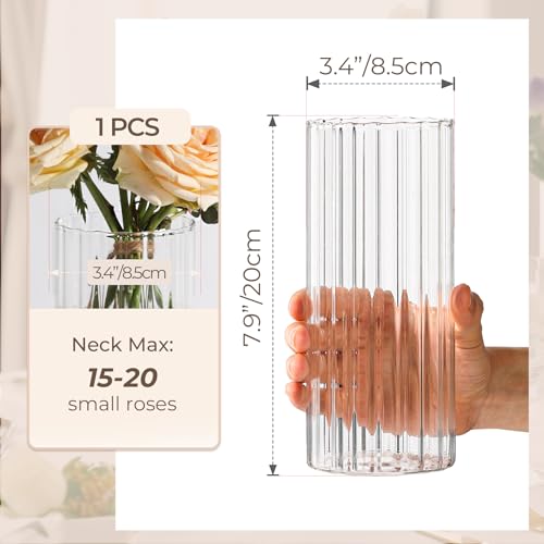 Clear Ribbed Glass Cylinder Vase 8 Inch - Decorative Centerpiece & Candle Holder