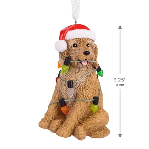 Hallmark Dog Christmas Ornament with Lights - Festive Ornament (Variation: Dog with Lights)