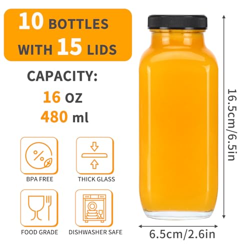 16oz Square Glass Juice Bottles with Lids and Straws - 10 Piece Set