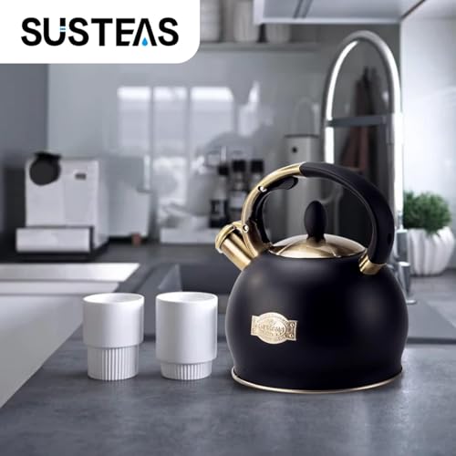 Whistling Tea Kettle, 2.7 QT Stainless Steel Stovetop Teapot with Mitt