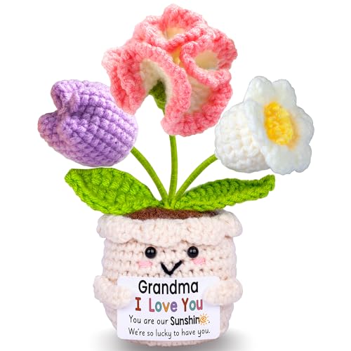 Handmade Crochet Flower Pot Gift for Grandma with Sentiment Card