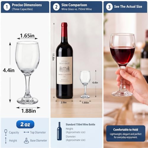 Ceenna Fashion Style 24 Pcs Small 2 oz Stemmed Wine Glasses for Tasting & Parties
