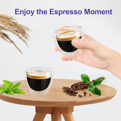 HomeyEra Double Wall Glass Espresso Cups Set of 2, 3oz Insulated Mugs