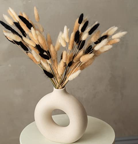100 Stems Dried Bunny Tails Grass - Natural Black White & Brown Boho Decor