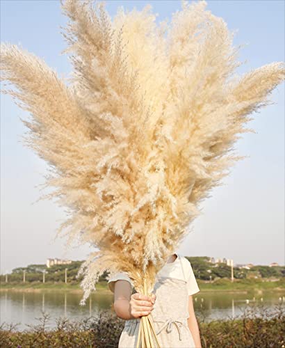 46-Inch Tall Dried Pampas Grass Decor - 10 Stems Fluffy Boho Floral Bouquet