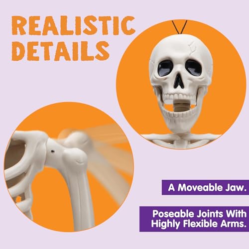 16-Inch Posable Halloween Skeletons (5-Pack) - Full Body Decor Set
