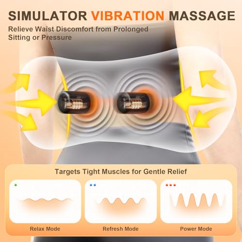Ergonomic Lumbar Support Pillow with Back Massager for Pain Relief