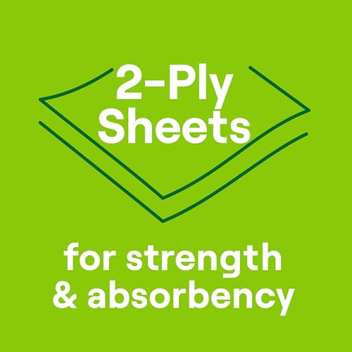 100% Recycled 2-Ply Paper Towels, Absorbent Cleaning Sheets - 2 Rolls