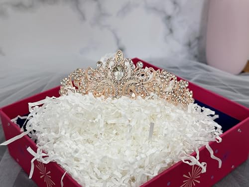 Bride to Be Bachelorette Party Set: Tiara, Satin Sash, and Tulle Veil