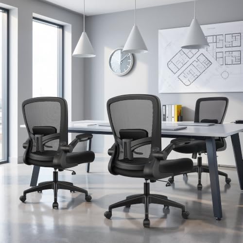Ergonomic Office Chair with Lumbar Support, Breathable Mesh Desk Chair