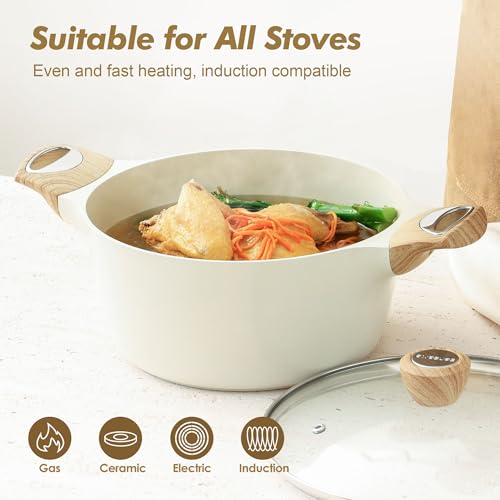 Ceramic Nonstick Stock Pot with Lid, Non-Toxic Induction Cooking Pot