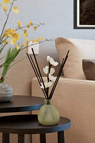 Nongcunren 10-Inch White Reed Diffuser Sticks 20pcs Replacement for Aromatherapy