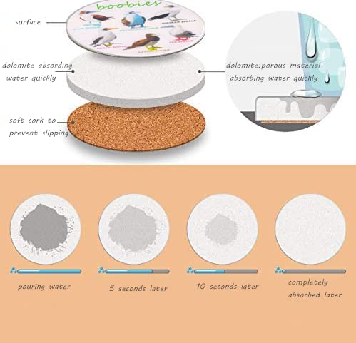 Bird Ceramic Coasters For Drinks with Holder And Cork Base, Set Of 6 All Kinds Of Birds Absorbent Coasters For Coffee Table