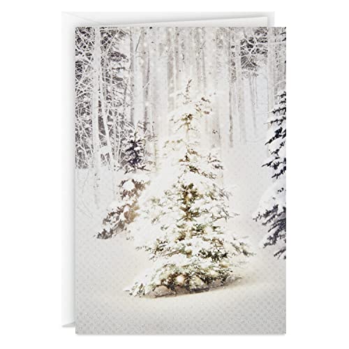 Hallmark Snowy Glowy Tree Christmas Cards Set - 16 Holiday Greeting Cards