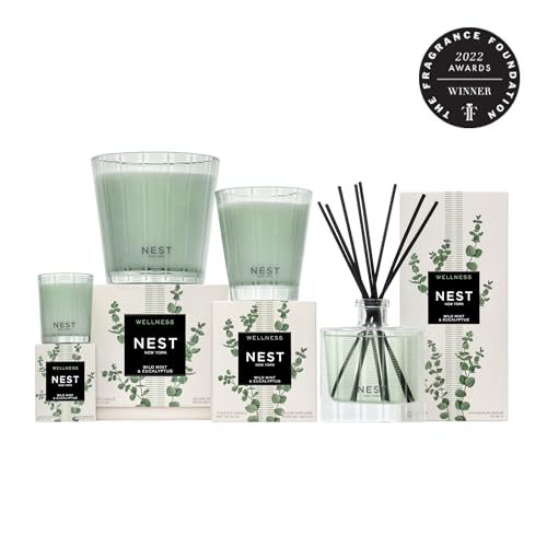 Wild Mint & Eucalyptus Reed Diffuser Liquid Refill - 5.9 fl oz