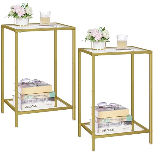 2-Tier Tempered Glass Side Table Set, Modern Metal Accent End Table