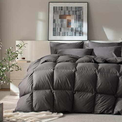 Organic Cotton Down Comforter Queen Size | 750+ Fill Power, Gray