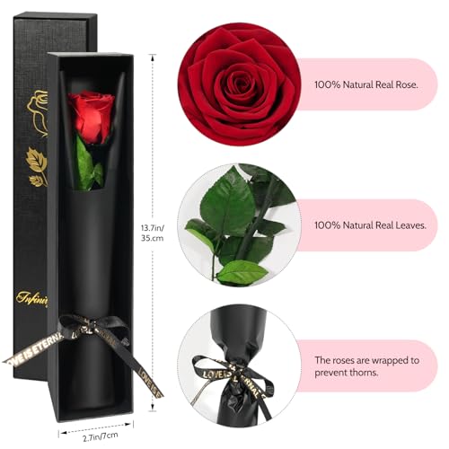 Preserved Real Rose Gift for Her - Eternal Handcrafted Flower in Gift Box
