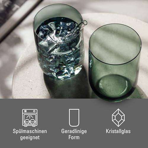 Villeroy & Boch Like Sage Highball/Tumbler Pair
