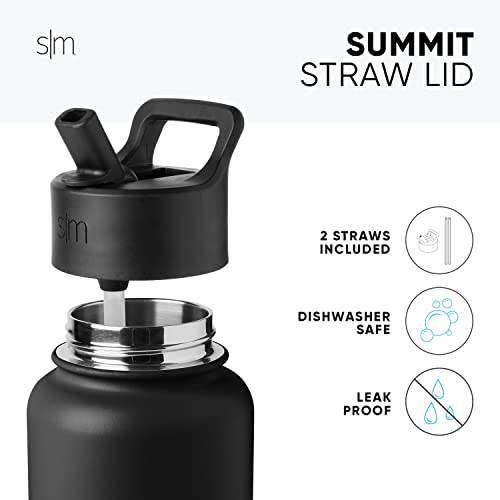 Insulated Stainless Steel Water Bottle with Straw Lid - 22oz, Black