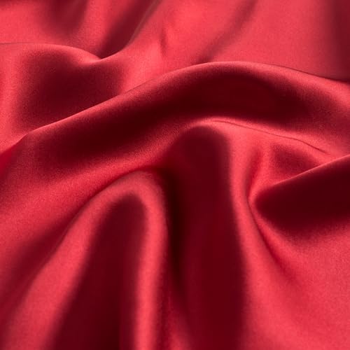 CloudDwelling 100% Mulberry Silk Pillowcase 22 Momme 6A Red 20x26 with Hidden Zipper