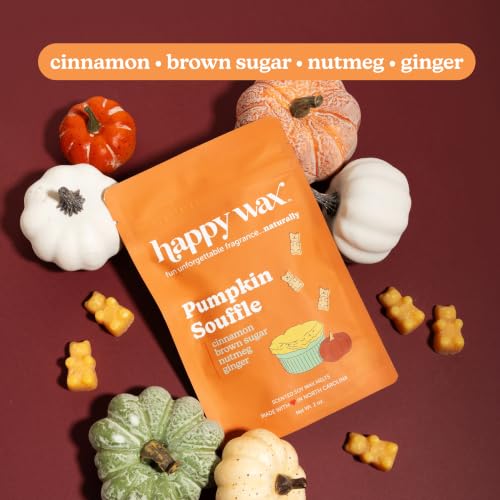 Scented Soy Wax Melts Variety Pack - Cinnamon & Pumpkin Spice, 6oz